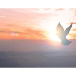 How the Holy Spirit Helps in Moments of Trouble and Confusion