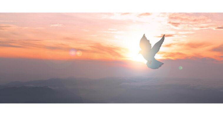 How the Holy Spirit Helps in Moments of Trouble and Confusion