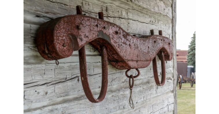 Is Jesus' yoke woke?