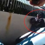 ‘I’m Going to Get You’: Hero Amy Vet Saves Pregnant Woman, Takes Down Alleged Carjacker