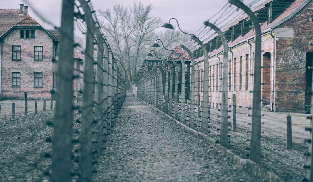 Number of Young Americans Believe Holocaust Is ‘Myth’