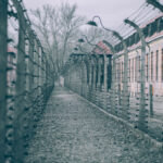 Number of Young Americans Believe Holocaust Is ‘Myth’