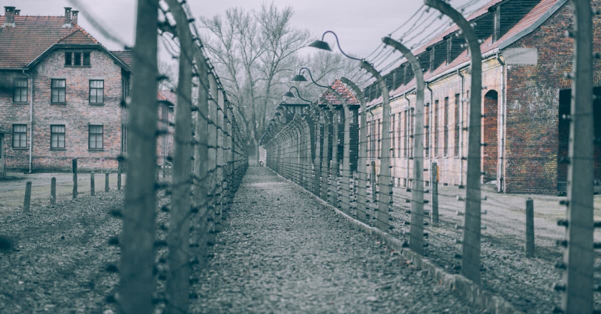 Number of Young Americans Believe Holocaust Is ‘Myth’