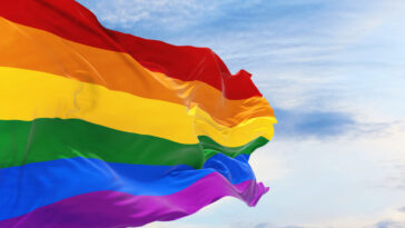 Catholic Bishop Admonishes Pope Over Same-sex Blessings