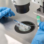 IVF Embryos Are Protected Children Under Alabama State Law