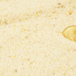 “Unforgettable”: Governor’s Children Discover Holy Land Relics