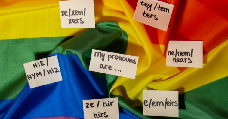 Catholic Nuns Challenge NY Gender Mandate