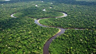 Thousands Turn to Christ Across the Amazon