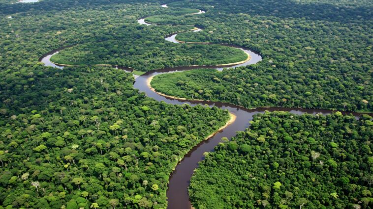 Thousands Turn to Christ Across the Amazon