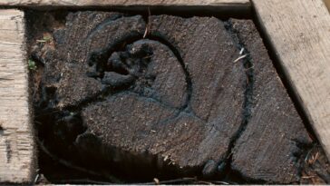 Ancient Jerusalem Discovery Aligns With Biblical Account